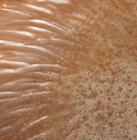 Fire Bowl detail