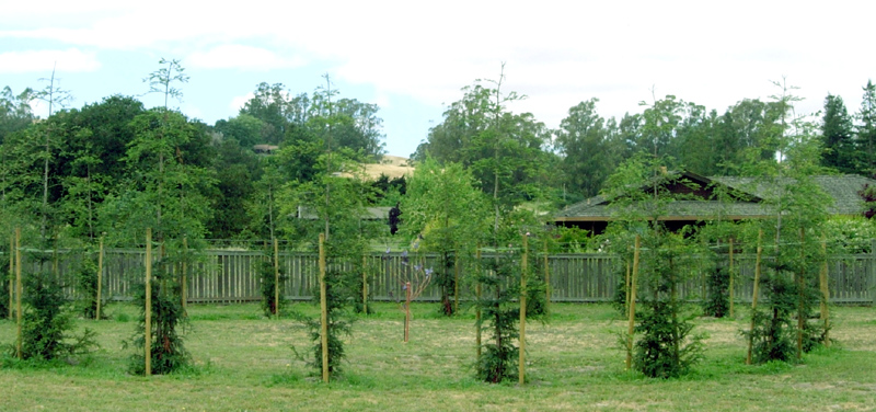 In Flight installation