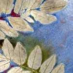 Jane's Leaves detail 1