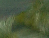 Morning Fog Detail 2