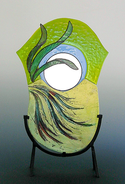 Reflections From the Cove