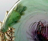 Ripples in Time detail