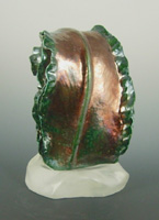 Tropical Currents back