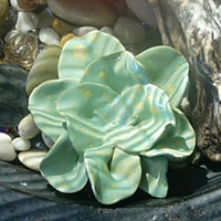 Water Petals Tidepool