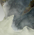 With The Flow detail