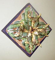 Dragon Flower